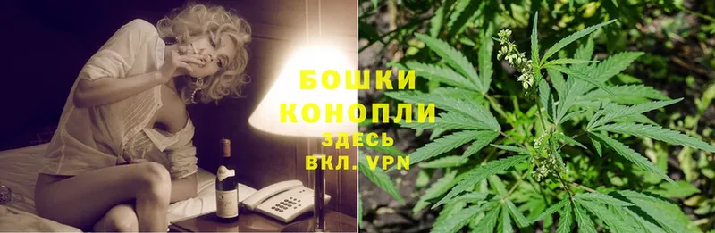 Бошки марихуана THC 21%  дарнет шоп  Алагир 